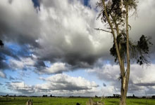 Ning焦点对战，库里与80激战澳大利亚队分钟，刷新纪录胜负难料！气势如虹延续的简单介绍